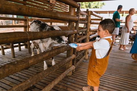 festa-festa infantil-decoração infantil-criança-foto de criança-família-fotógrafo infantil-'