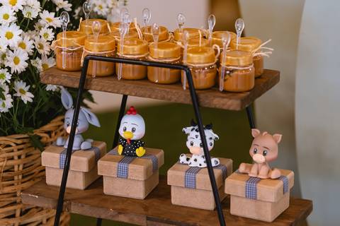 festa-festa infantil-decoração infantil-criança-foto de criança-família-fotógrafo infantil-'