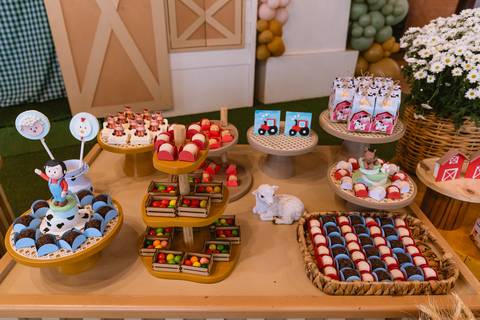 festa-festa infantil-decoração infantil-criança-foto de criança-família-fotógrafo infantil-'