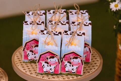 festa-festa infantil-decoração infantil-criança-foto de criança-família-fotógrafo infantil-'