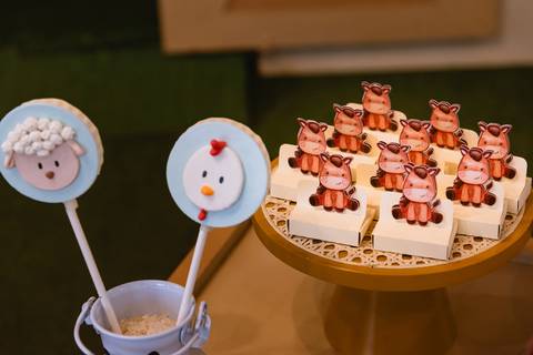 festa-festa infantil-decoração infantil-criança-foto de criança-família-fotógrafo infantil-'