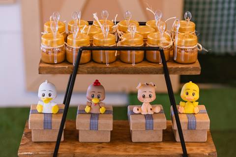 festa-festa infantil-decoração infantil-criança-foto de criança-família-fotógrafo infantil-'