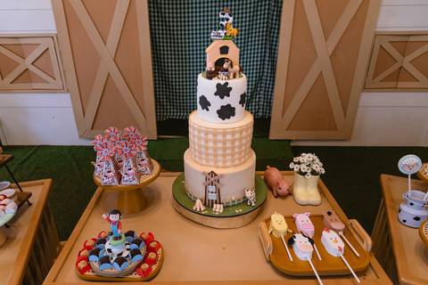 festa-festa infantil-decoração infantil-criança-foto de criança-família-fotógrafo infantil-'