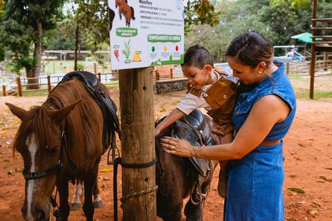 festa-festa infantil-decoração infantil-criança-foto de criança-família-fotógrafo infantil-'