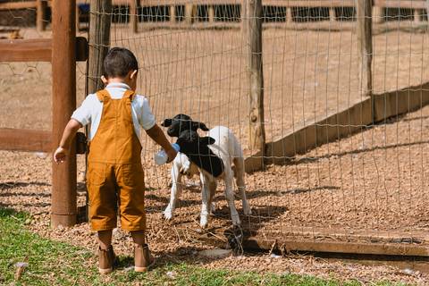 festa-festa infantil-decoração infantil-criança-foto de criança-família-fotógrafo infantil-'