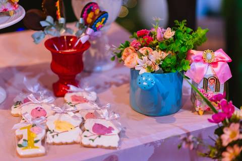 festa-festa infantil-decoração infantil-criança-foto de criança-família-fotógrafo infantil-'