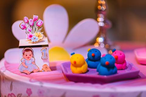 festa-festa infantil-decoração infantil-criança-foto de criança-família-fotógrafo infantil-'