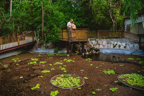 foto de grávida - ensaio gestante - gravida - ensaio família - ensaio casal'