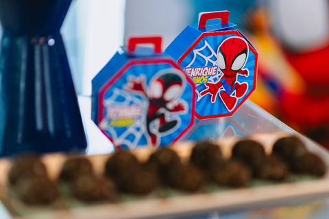 festa-festa infantil-decoração infantil-criança-foto de criança-família-fotógrafo infantil-'