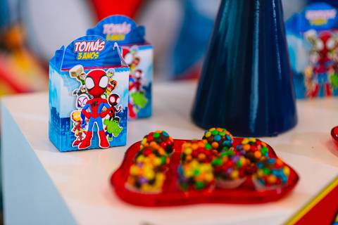 festa-festa infantil-decoração infantil-criança-foto de criança-família-fotógrafo infantil-'