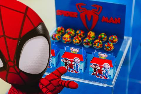 festa-festa infantil-decoração infantil-criança-foto de criança-família-fotógrafo infantil-'