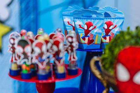 festa-festa infantil-decoração infantil-criança-foto de criança-família-fotógrafo infantil-'