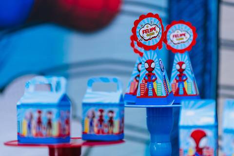 festa-festa infantil-decoração infantil-criança-foto de criança-família-fotógrafo infantil-'