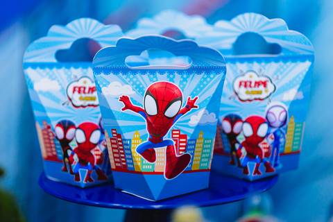 festa-festa infantil-decoração infantil-criança-foto de criança-família-fotógrafo infantil-'