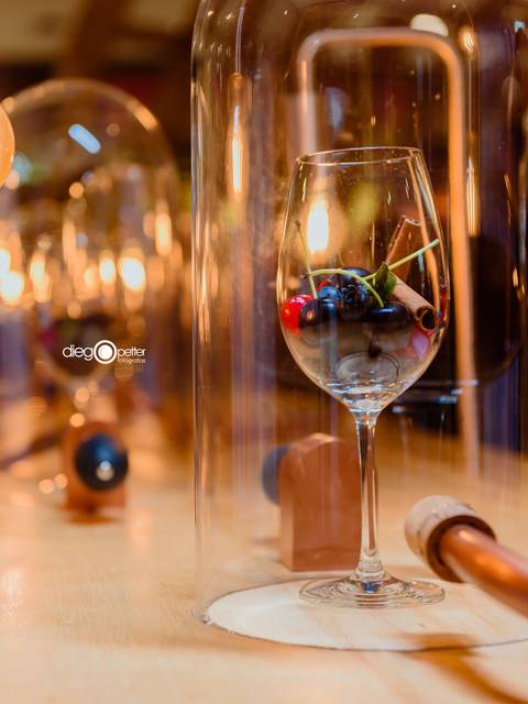 interatividade sensorial exposição de vinhos wineyard'