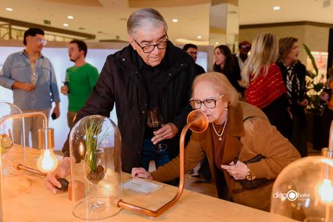 interatividade sensorial exposição de vinhos wineyard'