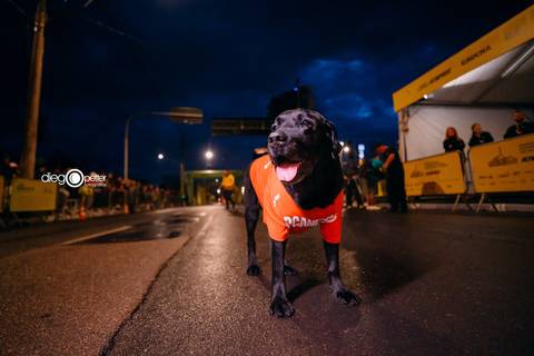 mascote largada 41 maratona 21 km'