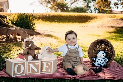 Sessão-infantil-Lomba-Grande-Novo-Hamburgo-RS'