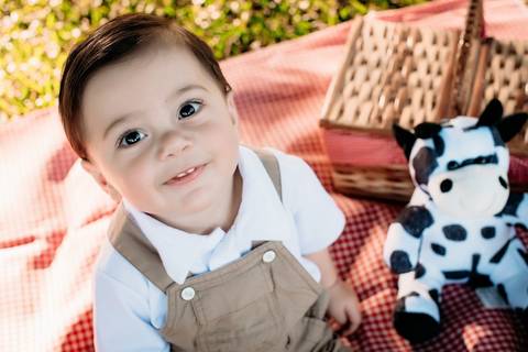 Sessão-infantil-Lomba-Grande-Novo-Hamburgo-RS'