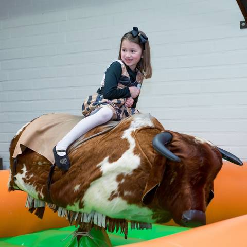 Festa-aniversário-infantil-Lomba-Grande-Novo-Hamburgo-RS'