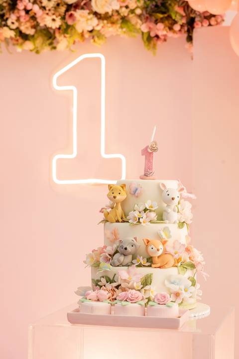 Aniversário-infantil-Novo-Hamburgo'