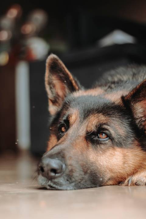 '