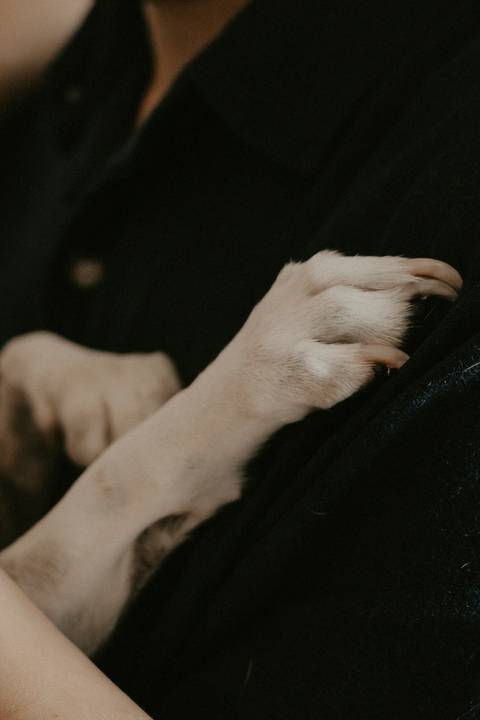 '