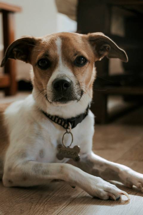 '