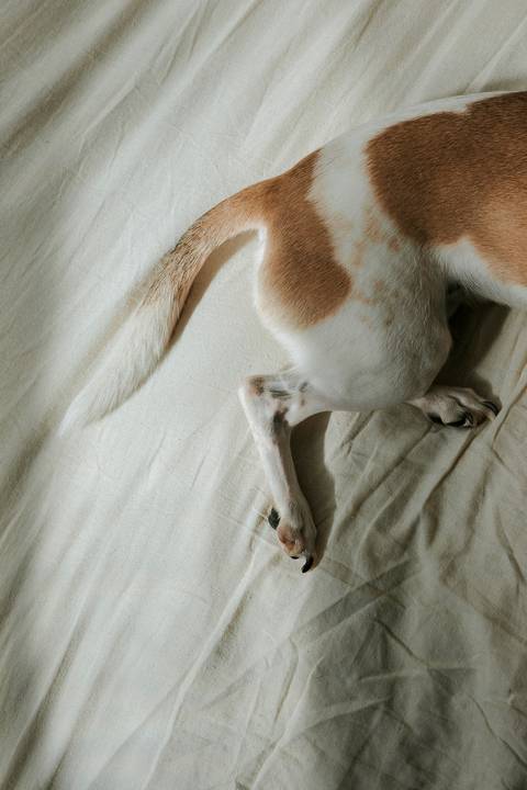 '