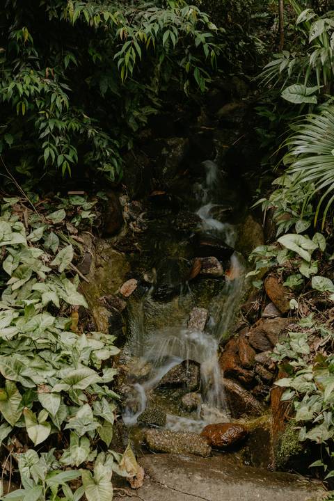 '