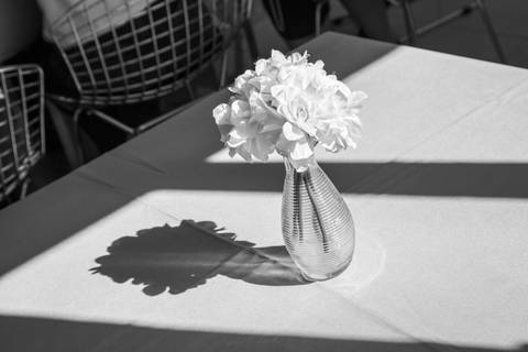Vaso de vidro com flor branca e sombra projetada na mesa sob a luz do sol. Foto em P&B por Bruno Arita.'