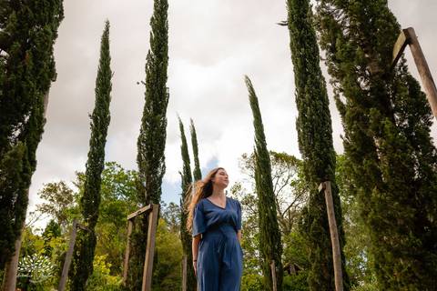 Júlia – Júlia 15 Anos – Ensaio – Ensaio Debutante – Chácara da Família Fiss – Debutante – Campo – Felicidade – Foto Premiada – Livro – Fotografia de Família – Debutante – Pôr do Sol – Vestido – Dourado – Antonio Rocha Fotografias – Pelotas – Linda – Sarda'