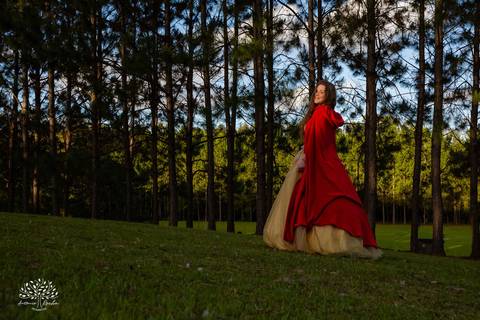Júlia – Júlia 15 Anos – Ensaio – Ensaio Debutante – Chácara da Família Fiss – Debutante – Campo – Felicidade – Foto Premiada – Livro – Fotografia de Família – Debutante – Pôr do Sol – Vestido – Dourado – Antonio Rocha Fotografias – Pelotas – Linda – Sarda'