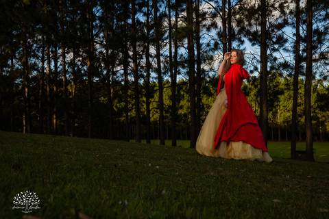 Júlia – Júlia 15 Anos – Ensaio – Ensaio Debutante – Chácara da Família Fiss – Debutante – Campo – Felicidade – Foto Premiada – Livro – Fotografia de Família – Debutante – Pôr do Sol – Vestido – Dourado – Antonio Rocha Fotografias – Pelotas – Linda – Sarda'