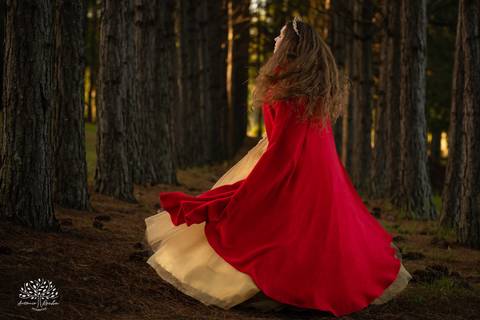 Júlia – Júlia 15 Anos – Ensaio – Ensaio Debutante – Chácara da Família Fiss – Debutante – Campo – Felicidade – Foto Premiada – Livro – Fotografia de Família – Debutante – Pôr do Sol – Vestido – Dourado – Antonio Rocha Fotografias – Pelotas – Linda – Sarda'