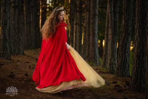 Júlia – Júlia 15 Anos – Ensaio – Ensaio Debutante – Chácara da Família Fiss – Debutante – Campo – Felicidade – Foto Premiada – Livro – Fotografia de Família – Debutante – Pôr do Sol – Vestido – Dourado – Antonio Rocha Fotografias – Pelotas – Linda – Sarda'