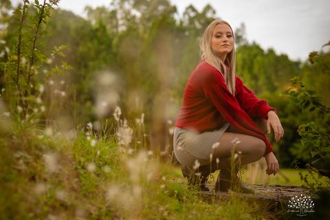 Milena – Milena 15 Anos – Ensaio – Ensaio Debutante – Chácara Família Fiss – Debutante – Campo – Felicidade – Foto Premiada – Loira – Fotografia de Família – Debutante – Pôr do Sol – Exigente – Dourado – Antonio Rocha Fotografias – Pelotas – Linda – Dogs '