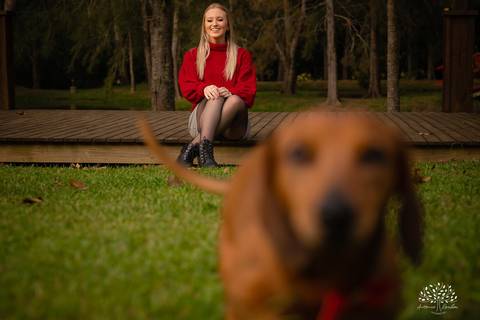 Milena – Milena 15 Anos – Ensaio – Ensaio Debutante – Chácara Família Fiss – Debutante – Campo – Felicidade – Foto Premiada – Loira – Fotografia de Família – Debutante – Pôr do Sol – Exigente – Dourado – Antonio Rocha Fotografias – Pelotas – Linda – Dogs '