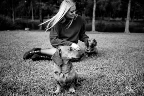 Milena – Milena 15 Anos – Ensaio – Ensaio Debutante – Chácara Família Fiss – Debutante – Campo – Felicidade – Foto Premiada – Loira – Fotografia de Família – Debutante – Pôr do Sol – Exigente – Dourado – Antonio Rocha Fotografias – Pelotas – Linda – Dogs '