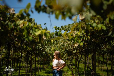 ensaio pré-festa - debutante - Helena Fischer - vinícola - Vinhos Nardello - Enilda - Claudio - família - piquenique - festa - carinho - confiança - momento especial - cliques – gratidão – Antonio Rocha Fotografias - Pelotas'