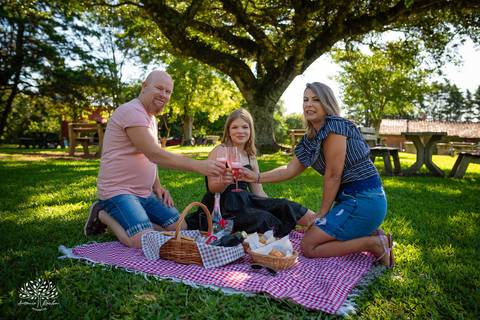 ensaio pré-festa - debutante - Helena Fischer - vinícola - Vinhos Nardello - Enilda - Claudio - família - piquenique - festa - carinho - confiança - momento especial - cliques – gratidão – Antonio Rocha Fotografias - Pelotas'