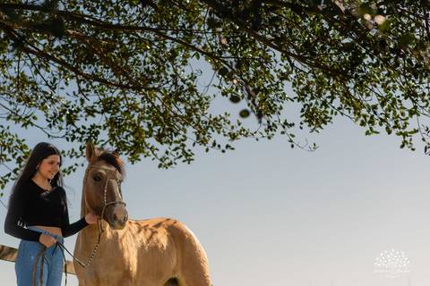 ensaio externo de 15 anos - Bruna - conexão com a natureza - fotos com égua - pré-festa de debutante - fotografia ao ar livre - céu azul  - celebração de 15 anos - Antonio Rocha Fotografias - São Lourenço do Sul - Pelotas - Festa de 15 anos - Debutante'