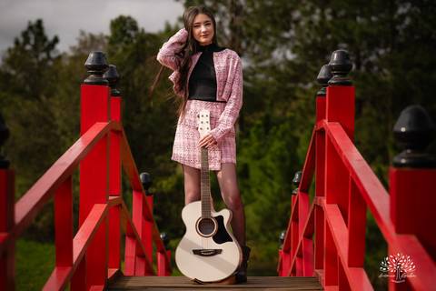 ensaio de 15 anos - fotografia de debutante - Ana Julia - violão José Bezerra - chácara da família Fiss - vestido de princesa - fotos de 15 anos - Antonio Rocha Fotografias -  memórias de 15 anos - sessão de fotos - Pelotas - Ensaio Externo - Cabine'