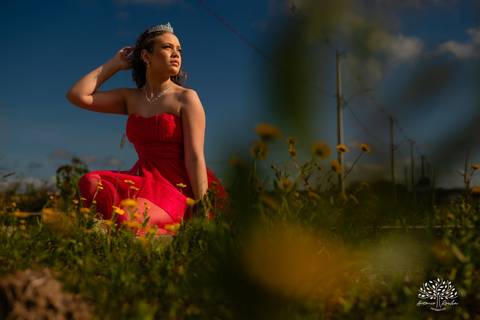ensaio de 15 anos - fotografia de debutantes - retratos femininos - momentos únicos - Parque Una - fotografia ao ar livre - fotógrafo Antonio Rocha - confiança e carinho - fotografia profissional - celebração dos 15 anos - Pelotas'