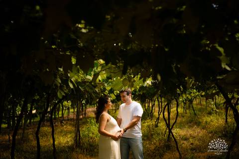 ensaio de gestante - Maiara e Filipe - espera do Théo - vinícola Nardello - manhã ensolarada - fotos de gestante - fotografia de família - registro de momentos - pais de primeira viagem - ensaio gestante ao ar livre - Antonio Rocha Fotografias - Pelotas'