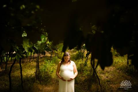 ensaio de gestante - Maiara e Filipe - espera do Théo - vinícola Nardello - manhã ensolarada - fotos de gestante - fotografia de família - registro de momentos - pais de primeira viagem - ensaio gestante ao ar livre - Antonio Rocha Fotografias - Pelotas'