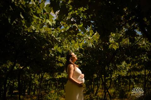 ensaio de gestante - Maiara e Filipe - espera do Théo - vinícola Nardello - manhã ensolarada - fotos de gestante - fotografia de família - registro de momentos - pais de primeira viagem - ensaio gestante ao ar livre - Antonio Rocha Fotografias - Pelotas'