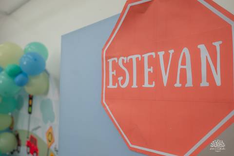 aniversario infantil - fotografia infantil - fotografo de criancas - casa de alice - bolinha de sabao - animacao infantil - parabens emocionante - abelinha - fotografias espontaneas - antonio rocha fotografias - Estevan 2 anos - cacau fest chocolates'