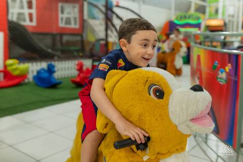 fotografia infantil - festa infantil - aniversário infantil - fotógrafo em pelotas  - fotografia de família - arte e riso - infância feliz - antonio rocha fotografias - festa de criança - hot whells - roxito - chuva de neve - parabens gaúcho - pelotas'