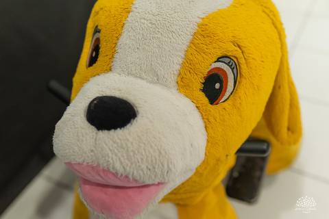 fotografia infantil - festa infantil - aniversário infantil - fotógrafo em pelotas  - fotografia de família - arte e riso - infância feliz - antonio rocha fotografias - festa de criança - hot whells - roxito - chuva de neve - parabens gaúcho - pelotas'